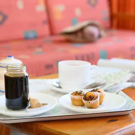 Palmasol Appartement *